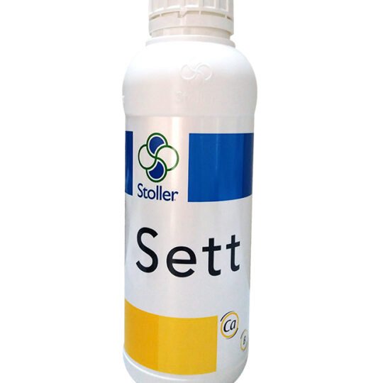 Sett