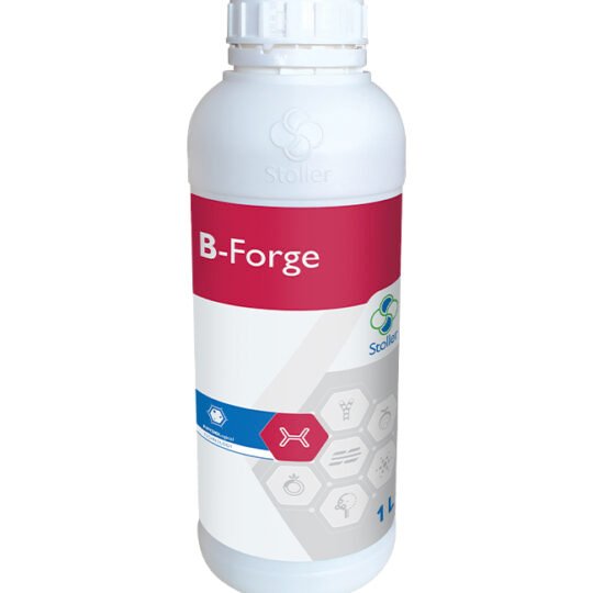 B-Forge