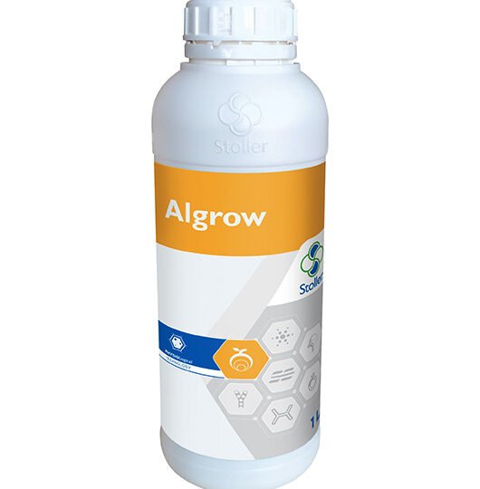 Algrow NT